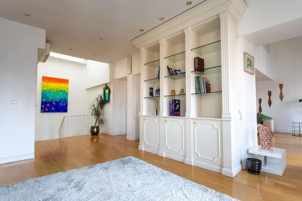 Apartment Duplex Spacieux Et Lumineux Toulouse