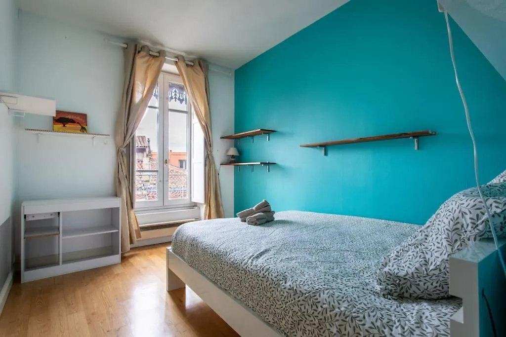 Duplex Spacieux Et Lumineux Toulouse