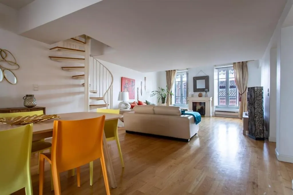 Duplex Spacieux Et Lumineux Toulouse France