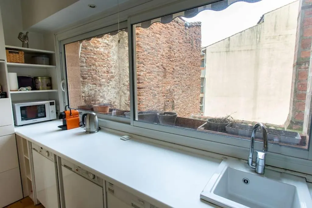 Duplex Spacieux Et Lumineux Toulouse Apartment