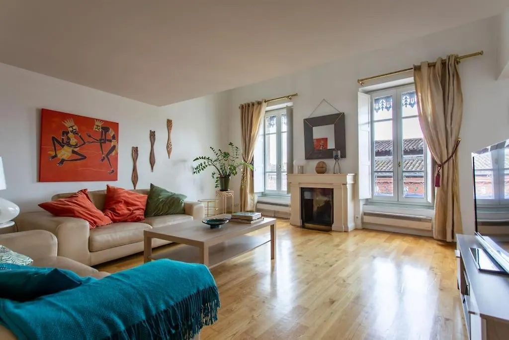 Duplex Spacieux Et Lumineux Toulouse Apartment