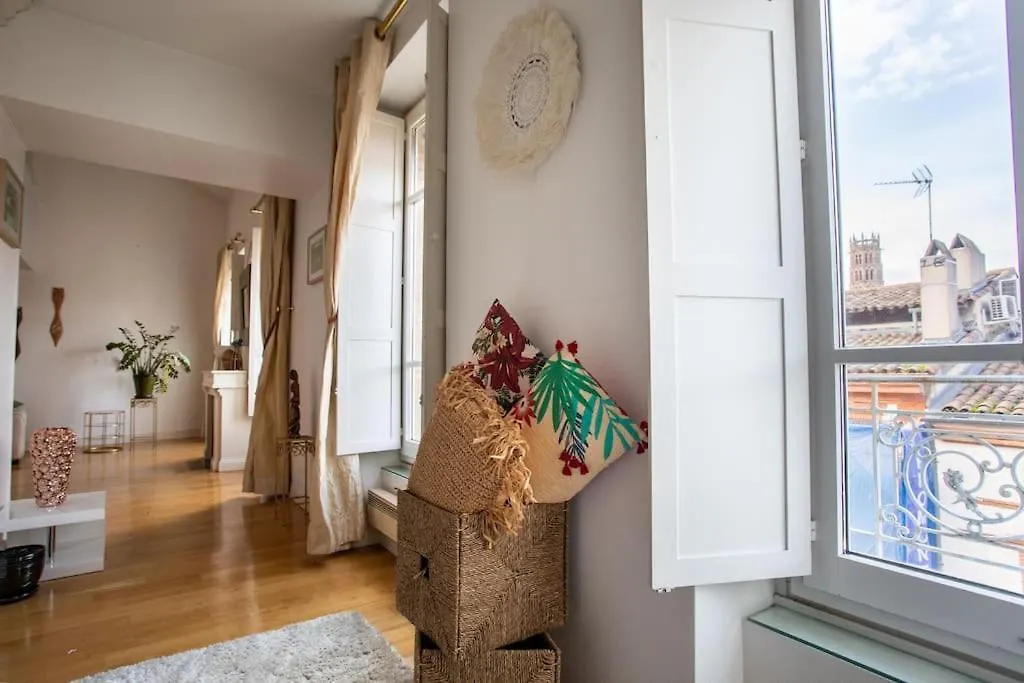 Apartment Duplex Spacieux Et Lumineux Toulouse